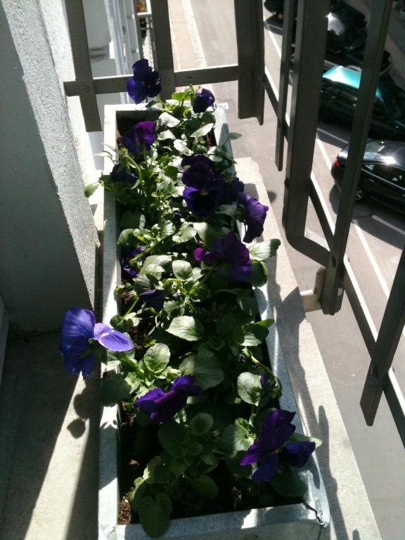קופנהגן The Pea Blossom B&B מראה חיצוני תמונה