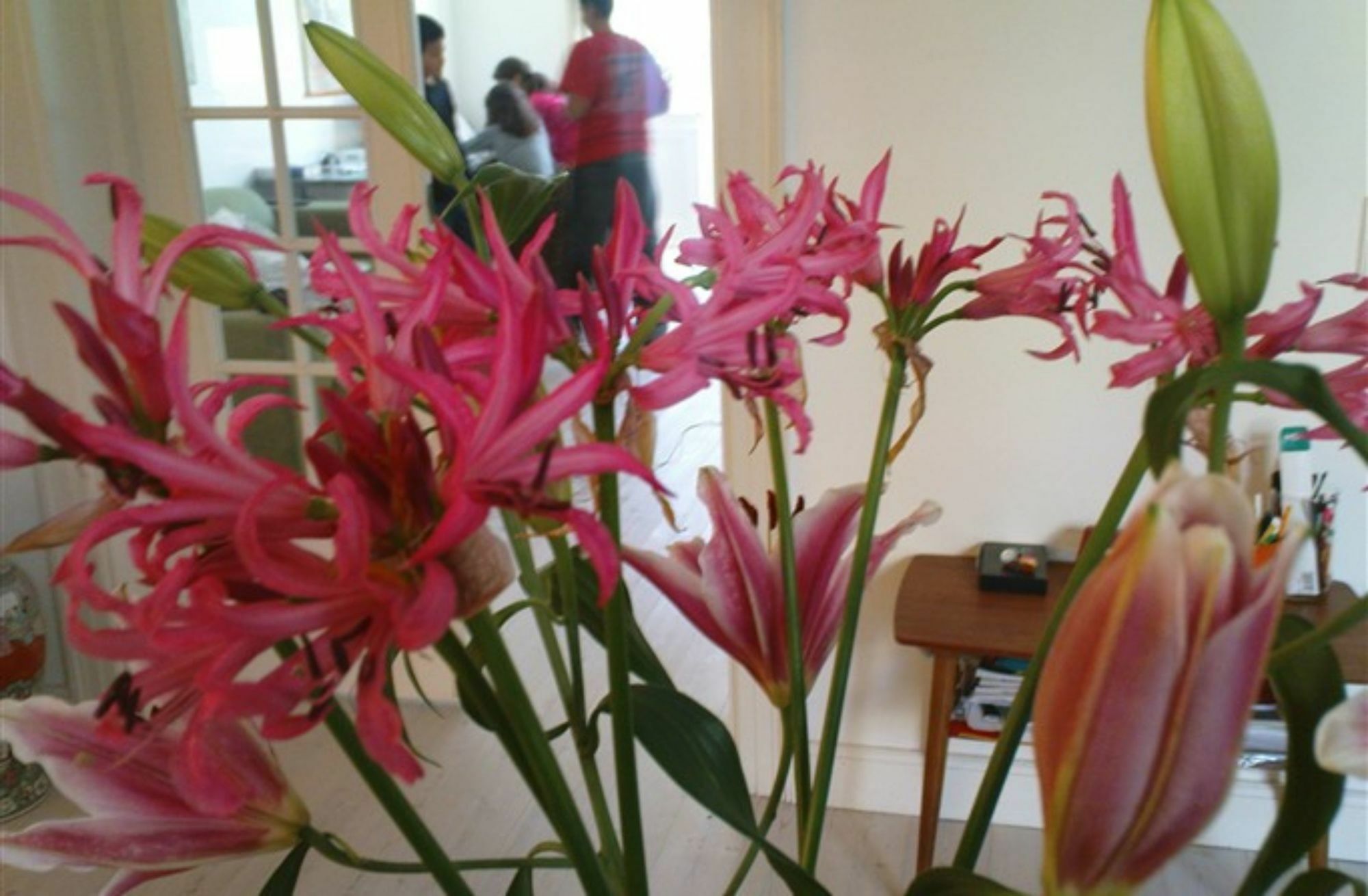 קופנהגן The Pea Blossom B&B מראה חיצוני תמונה